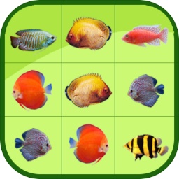 乐发app